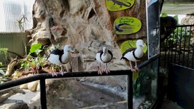 ほのぼのとした小さな動物園
