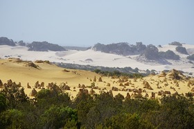 盛り沢山ツアー