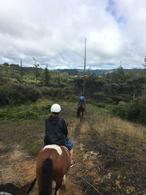 2時間のコースで大満足