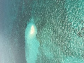 人生で初めてヘリコプターツアーを体験しました。