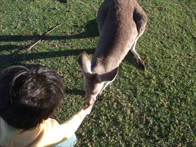 動物園と砂すべり