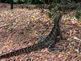 感動の土ボタル面白ガイドさん