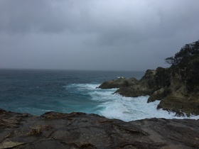 豪雨と暴風だからこそ見ることができた野生動物達