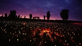 Field of light