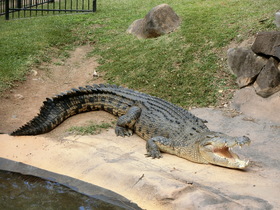 ファミリーにおすすめの動物園です