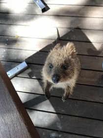 サイクリングで