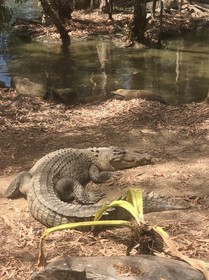 とっても満足