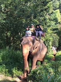 タイの自然満喫ツアー❗️