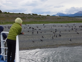 ウシュアイア 南米最南端のウシュアイアでペンギンを見よう 期間限定11月 3月 の予約ならホットホリデー