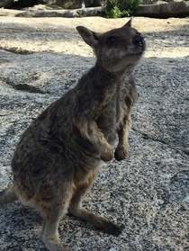 たくさんの動物に会えました！