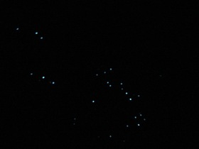 幻想的な夜でした！