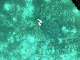 グリーン島を満喫！空から…