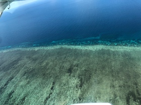 海の青さに感動