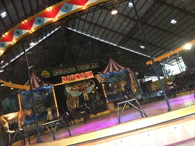 動物とのふれあいに満足