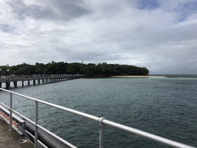 憧れの海！