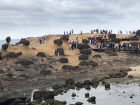 フリープラン旅行者におすすめ
