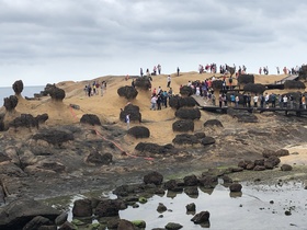 フリープラン旅行者におすすめ