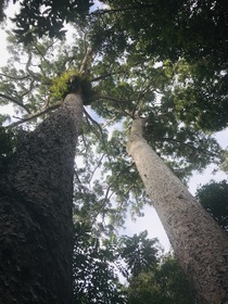 自然の魅力に感動した、楽しい1日☆