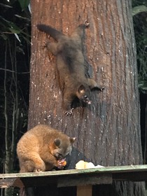 かわいい動物や不思議な植物に癒されて