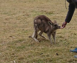 ただただ自然の雄大さに感動！！