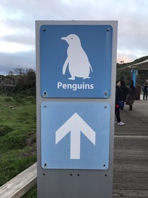 ペンギンに感動。