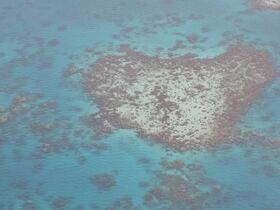 世界遺産