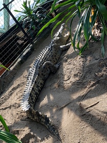街中の動物園