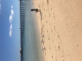 初めてのグリーン島