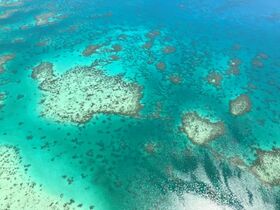 空から見るグリーン島、コアラリーフ最高！