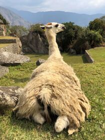 ピサックとオリャンタイタンボへ行きました