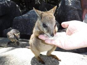 自然と様々な動物とのふれあいに大満足‼️