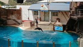 動物園からの景色が素晴らしい♪