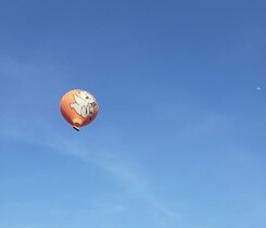 熱気球とキュランダ・スカイレール＆列車