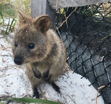 とてもおすすめですよ！