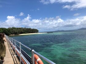 透明度の高い海。