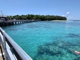 綺麗なサンゴ礁