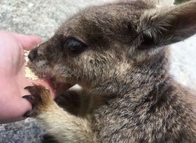 素敵なツアーでした！