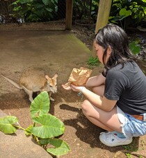 初めてのキュランダ