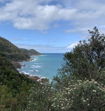 海沿いの景色を堪能