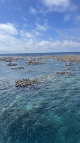 海の中は午前と午後で別世界