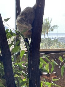 対応が素敵でした!