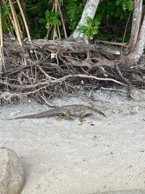 落ち着いた綺麗な島！