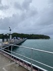 グリーン島