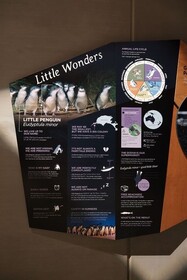 満足の半日ツアー