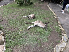 最高の経験と景色