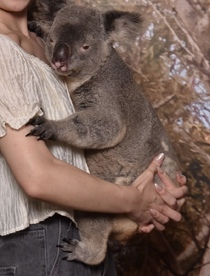 抱っこできるうちに