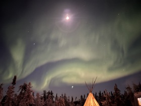 奇跡のような美しさ