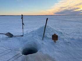 楽しめました！