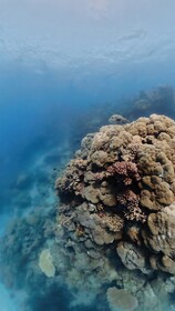 初めてでしたが、楽しめました