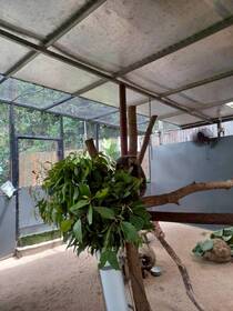 コアラと記念写真!!☆